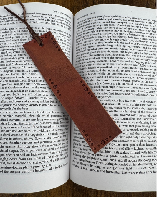 Bookmarks