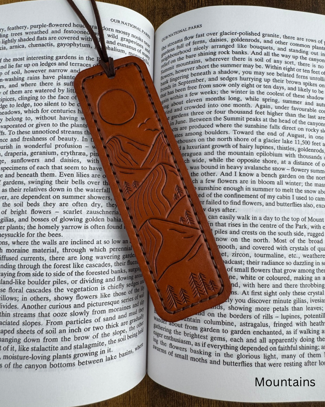Bookmarks