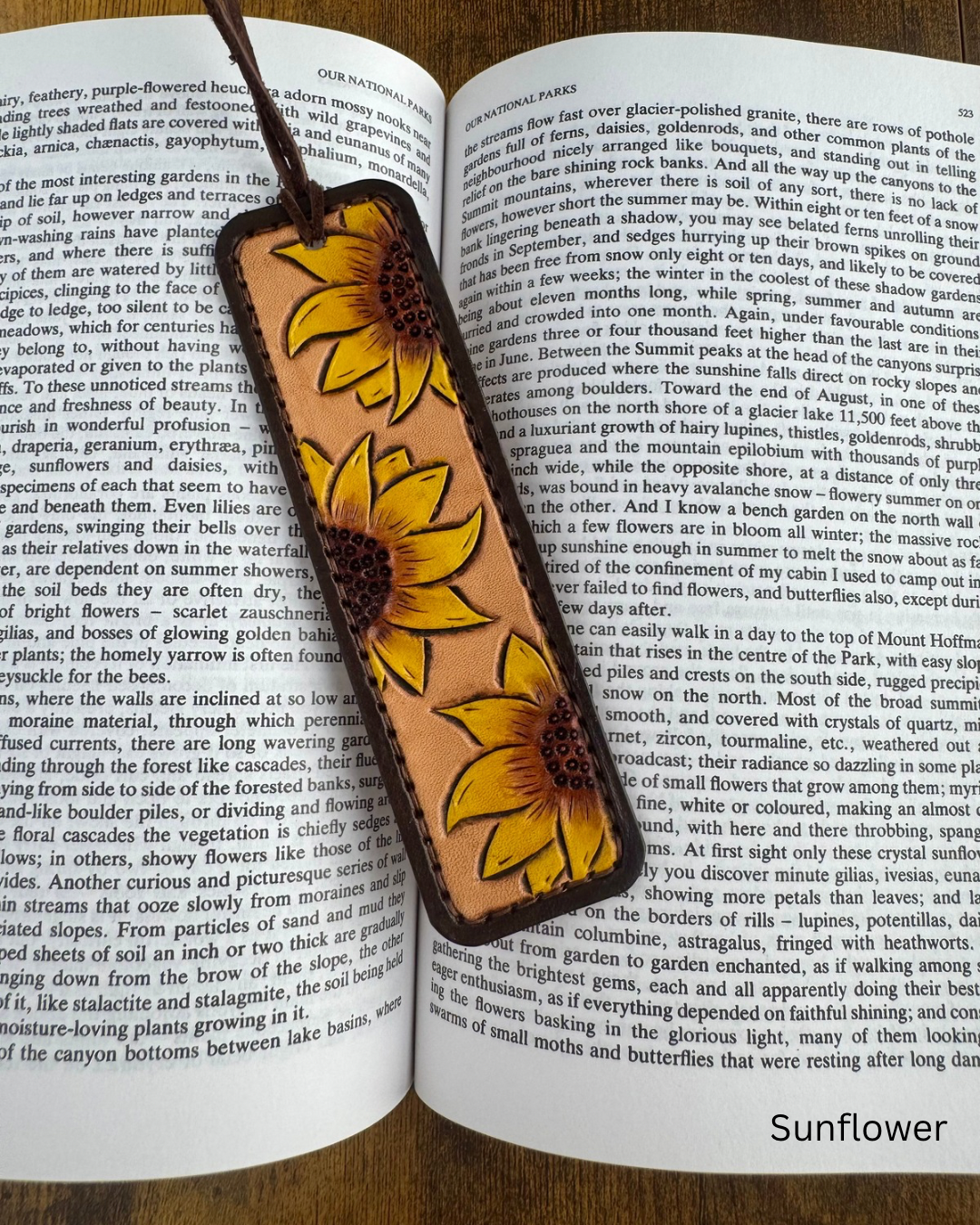 Bookmarks