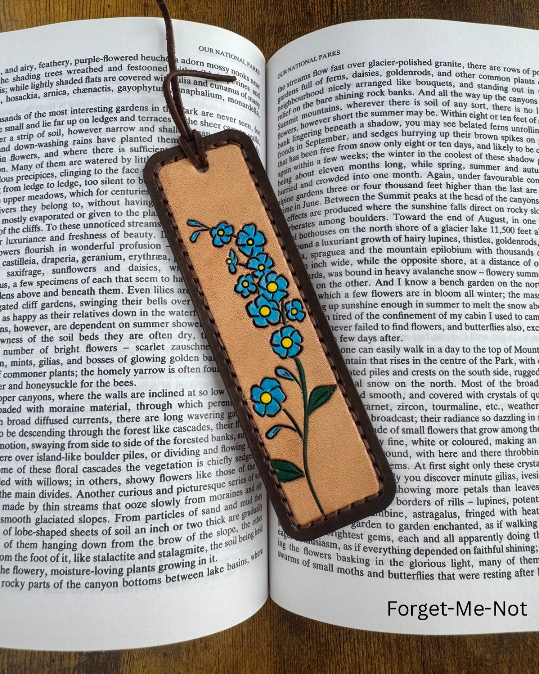Bookmarks