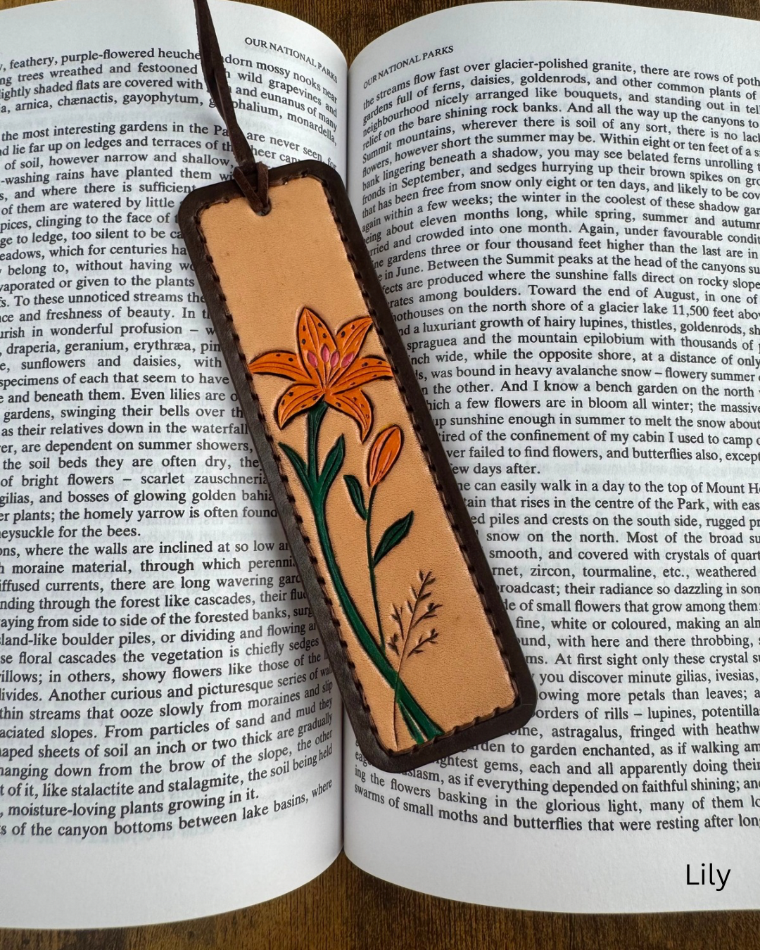 Bookmarks