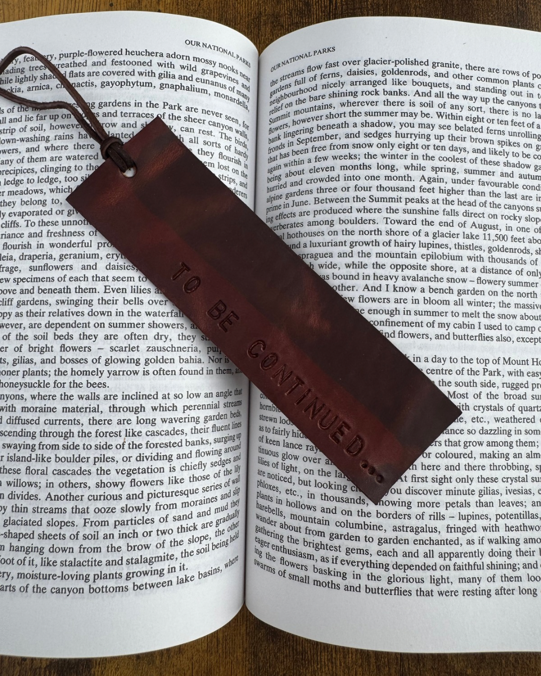 Bookmarks