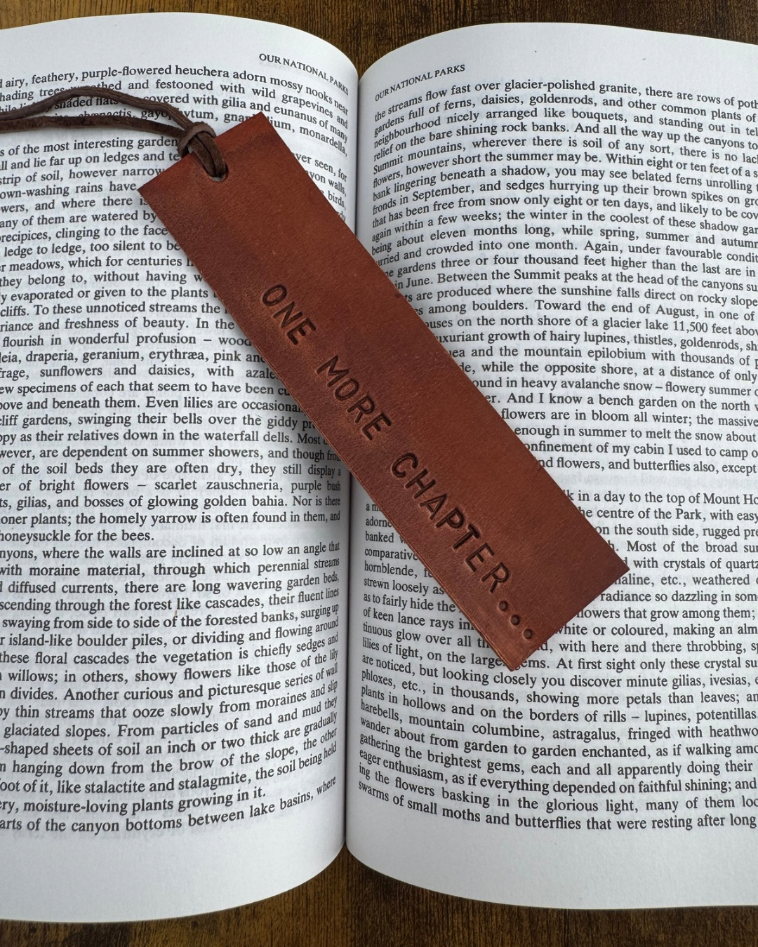 Bookmarks