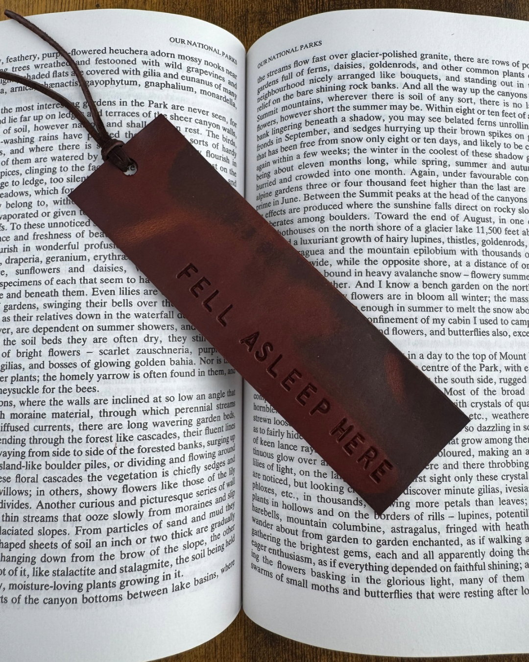 Bookmarks