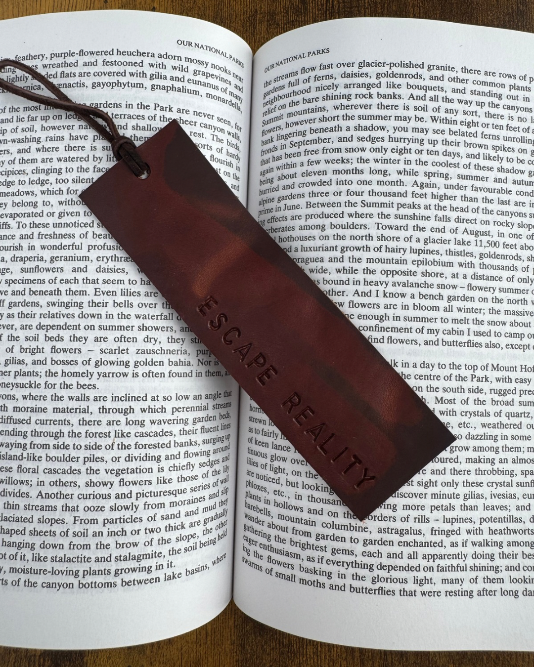 Bookmarks