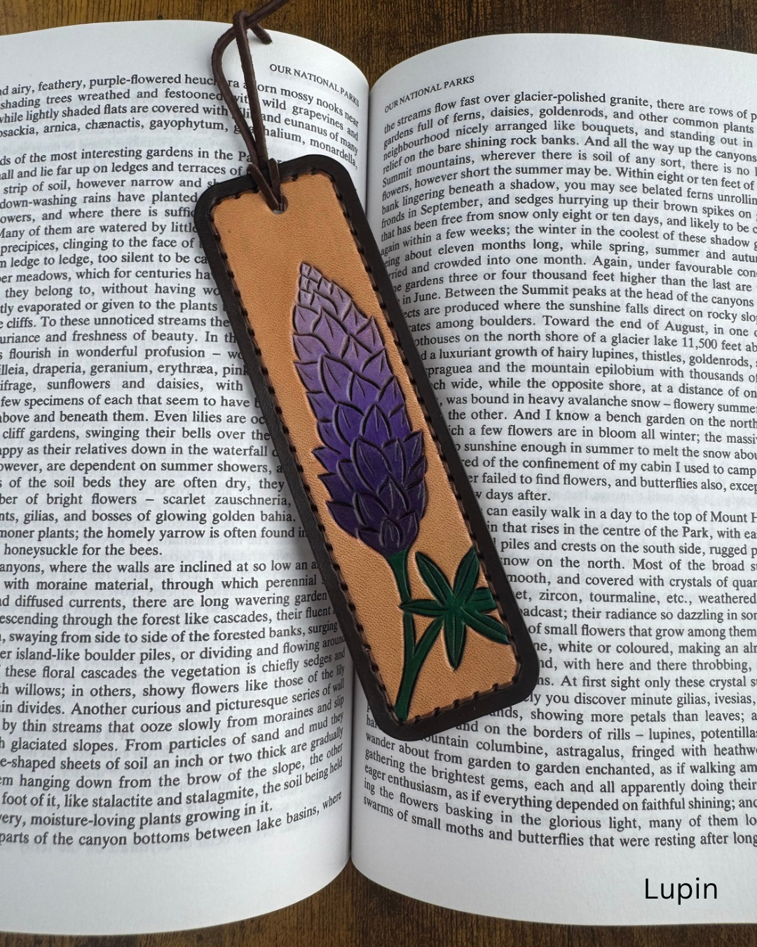 Bookmarks
