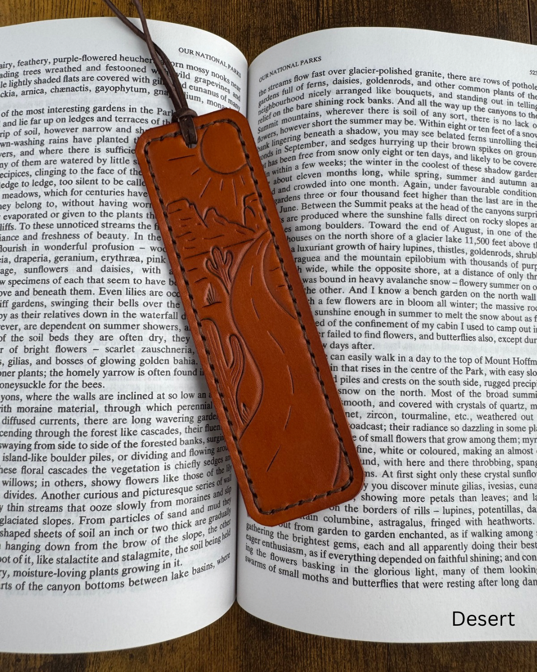 Bookmarks