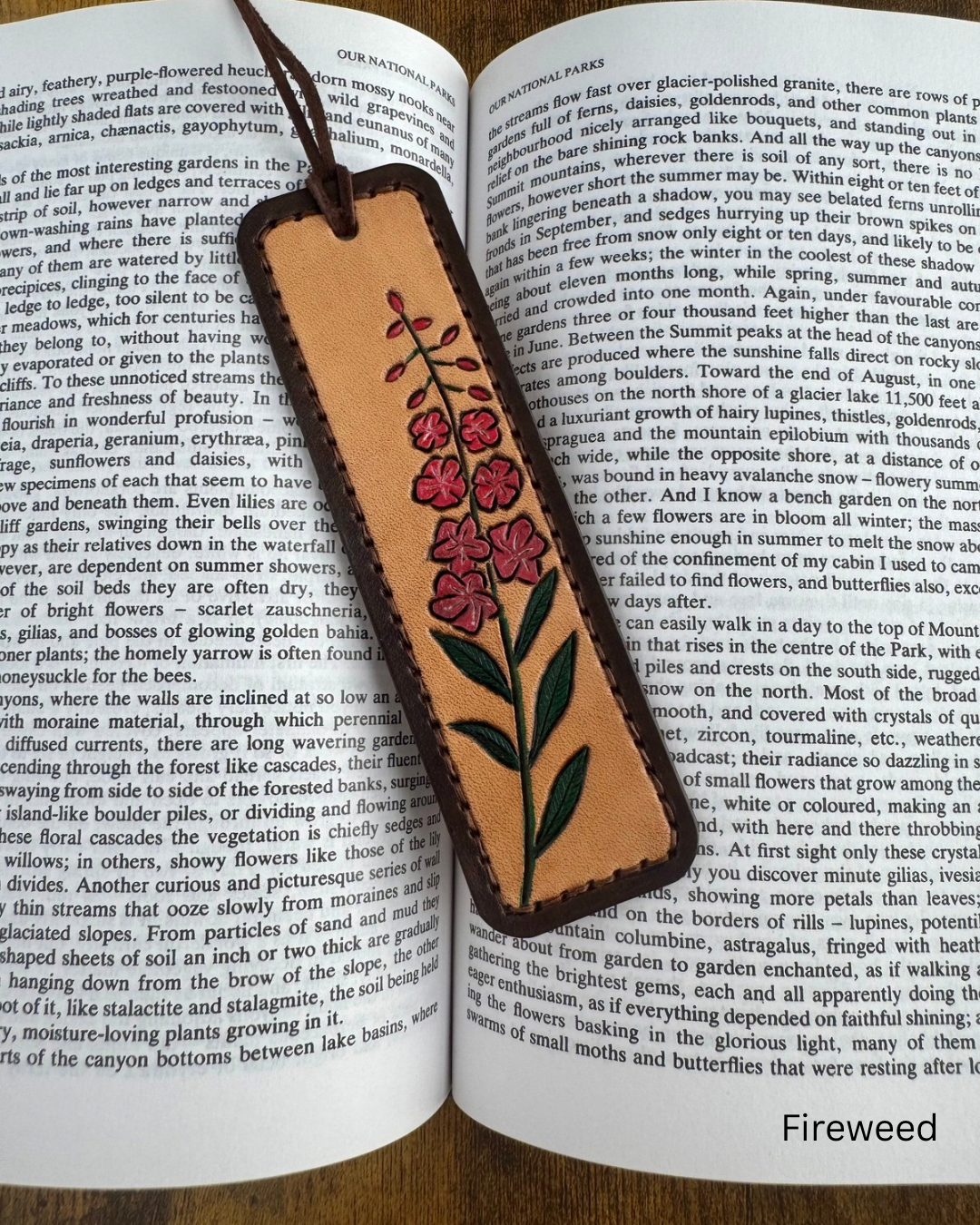Bookmarks